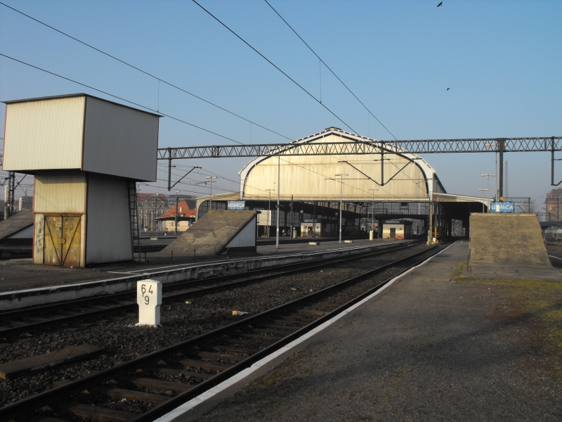 Legnica 12