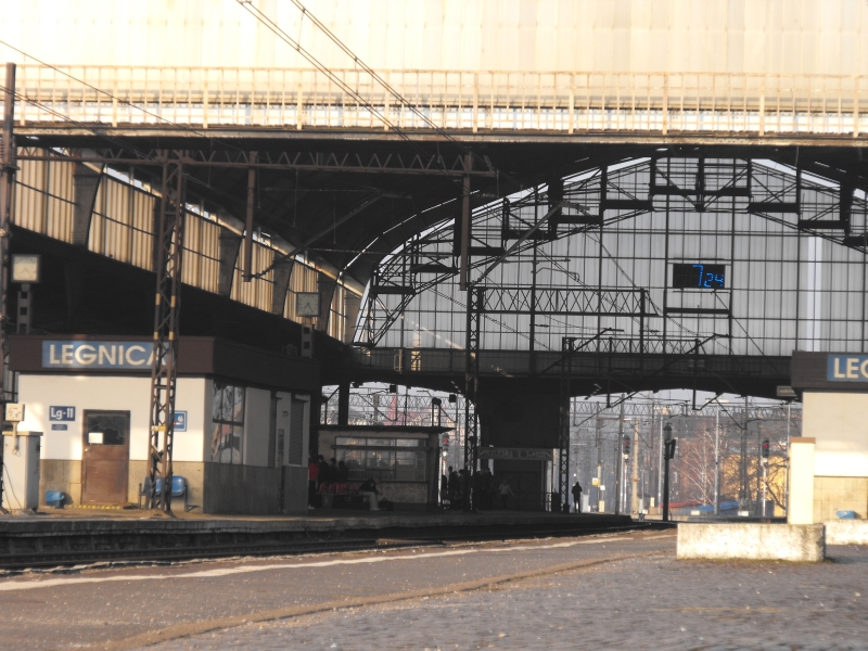 Legnica 15