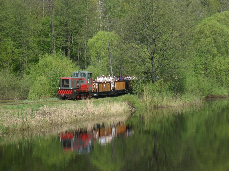 Kolejki leśne Hajnówka - Topiło