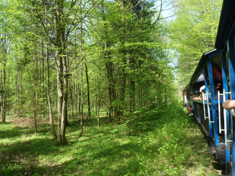 Hajnówka - Topiło 08