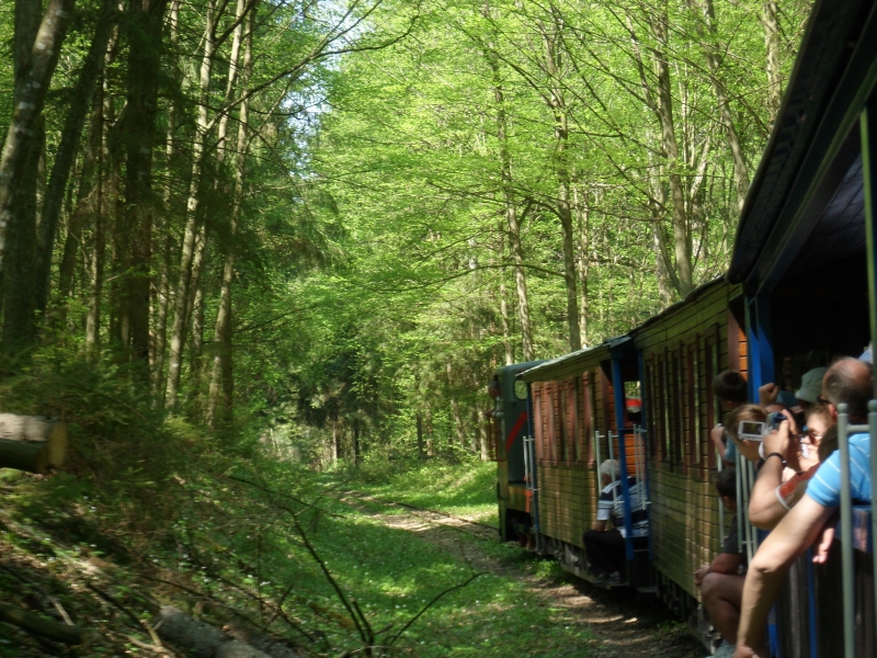 Hajnówka - Topiło 09