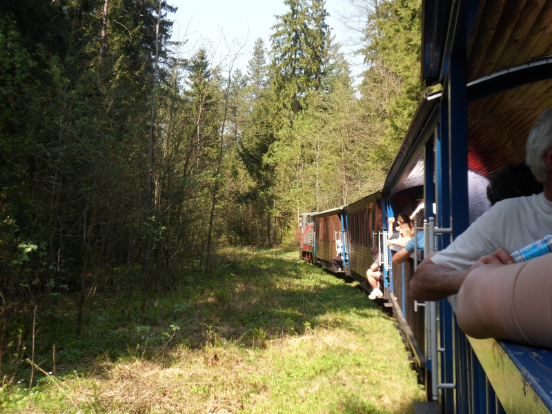 Hajnówka - Topiło 10