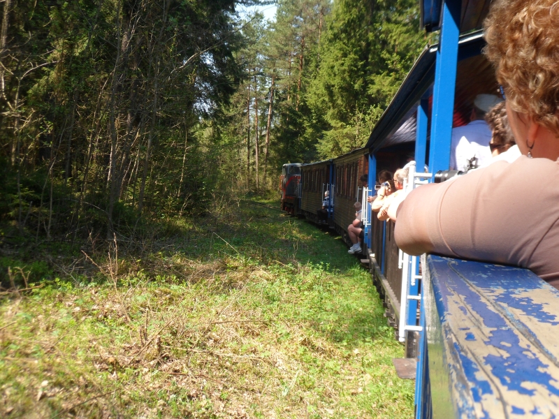 Hajnówka - Topiło 11