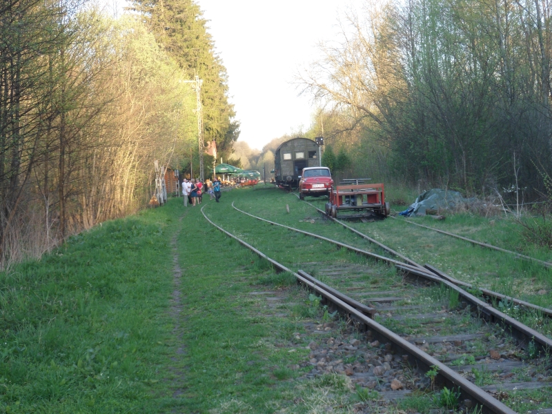 Białowieża Towarowa 01