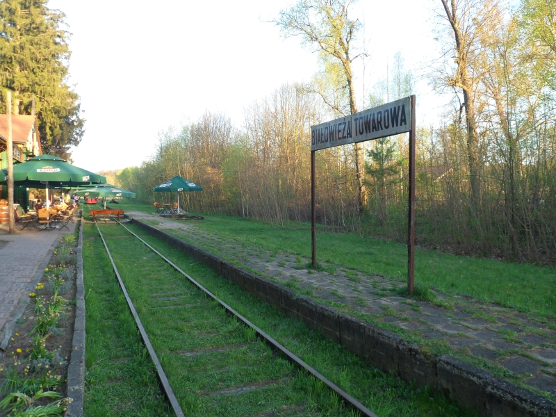 Białowieża Towarowa 05
