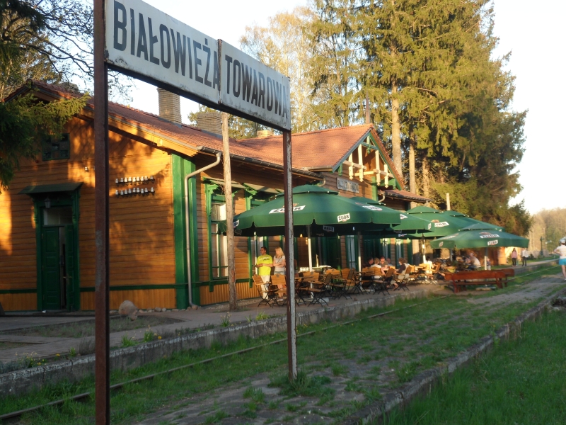 Białowieża Towarowa 08