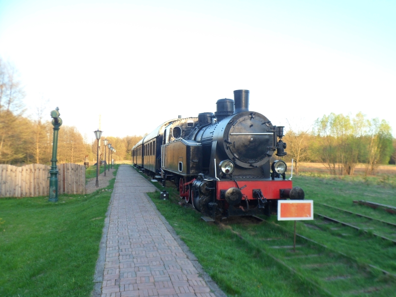 Białowieża Towarowa 12