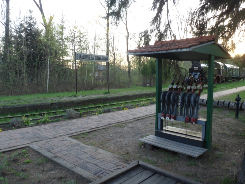Białowieża Towarowa 27