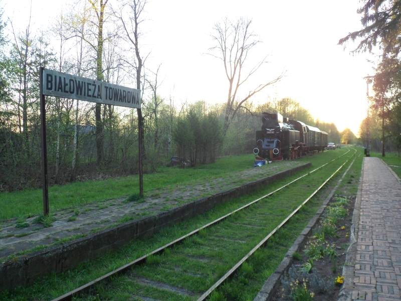 Białowieża Towarowa 28