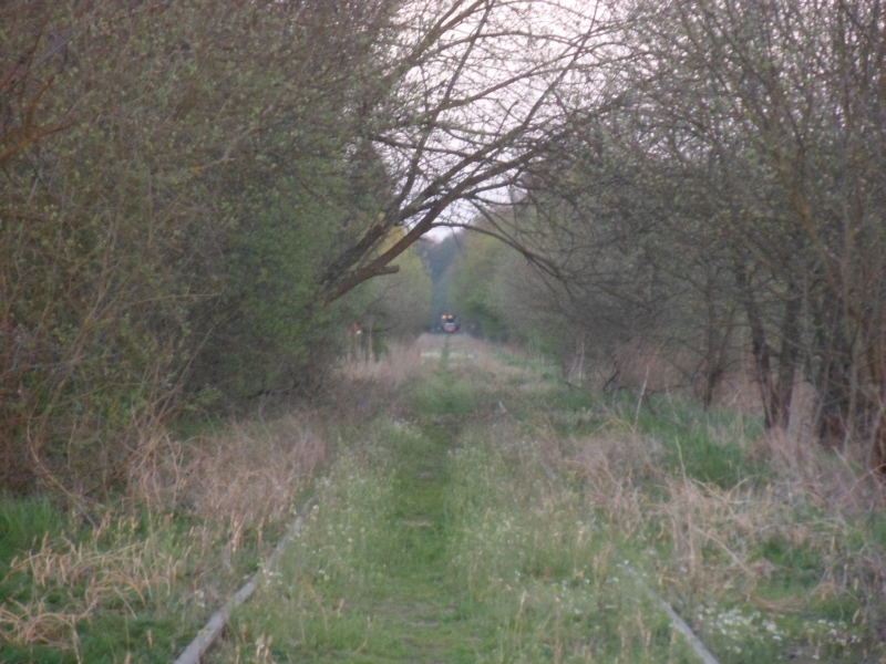 Białowieża Towarowa 32