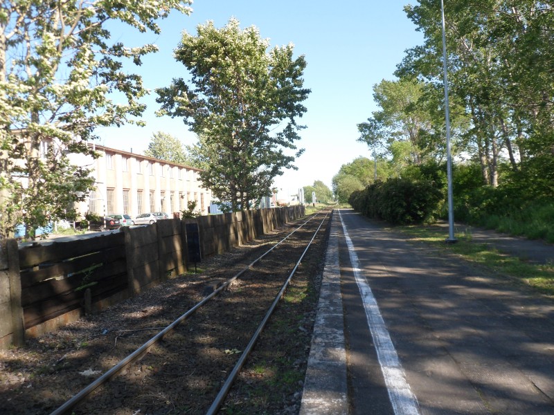 Władysławowo Port 04