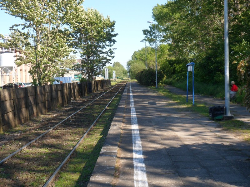 Władysławowo Port 06