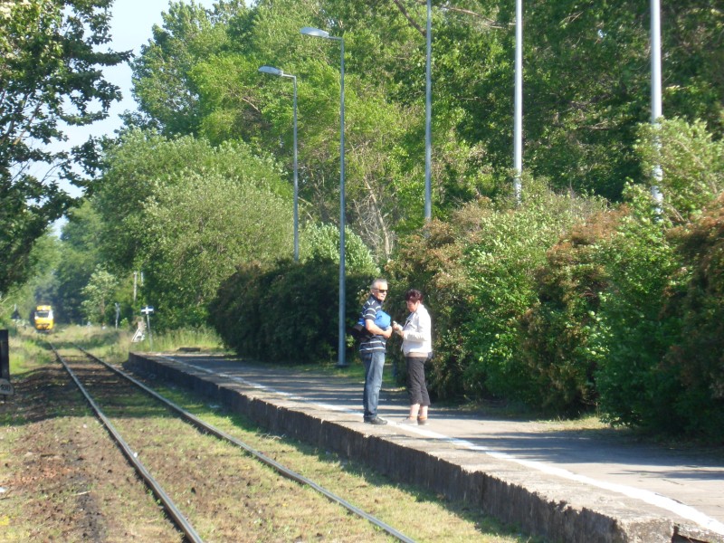 Władysławowo Port 07