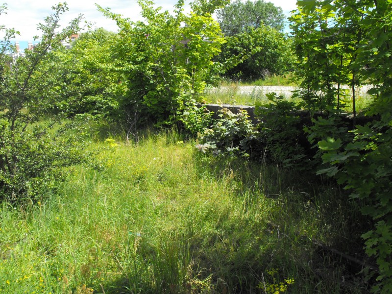 Gdańsk - pierwsza stacja kolejowa 15