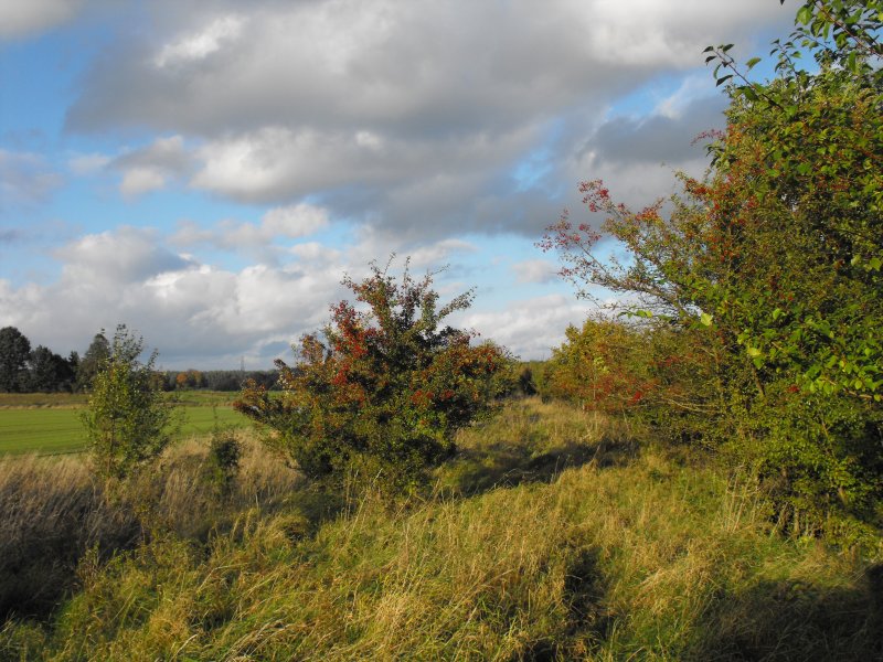 Osieki Lęborskie 01