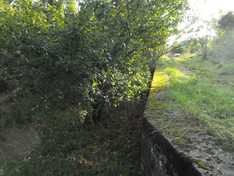 Osieki Lęborskie 04