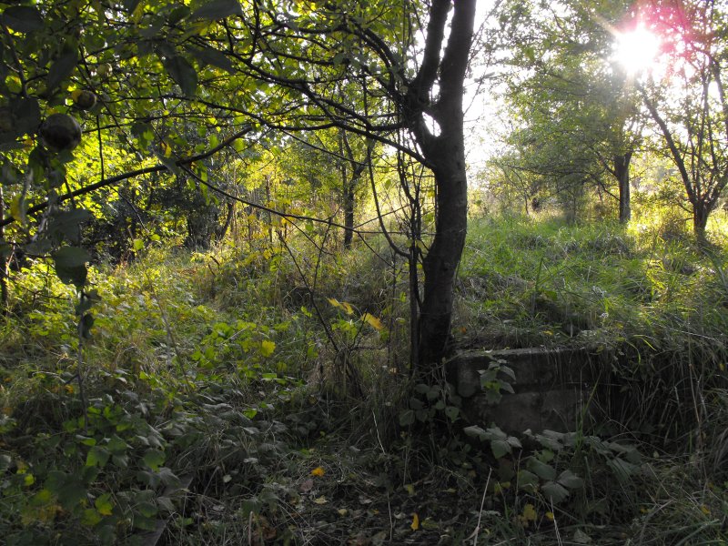 Osieki Lęborskie 05