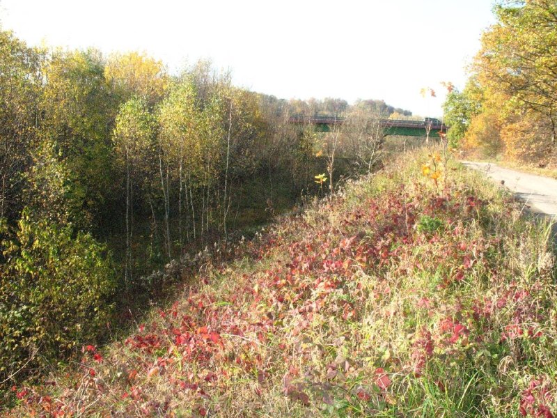 Gdańsk Kiełpinek 03