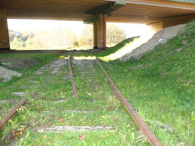 Gdańsk Kiełpinek 05