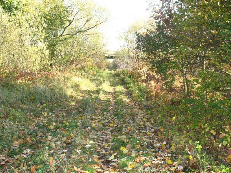 Gdańsk Kiełpinek 06