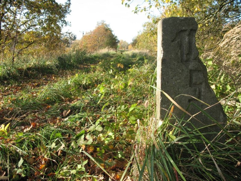 Gdańsk Kiełpinek 07