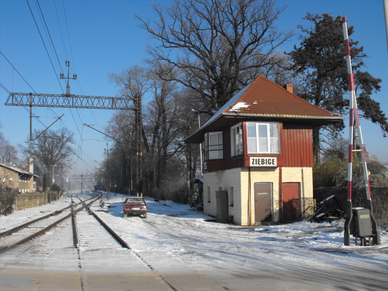 Ziębice 01