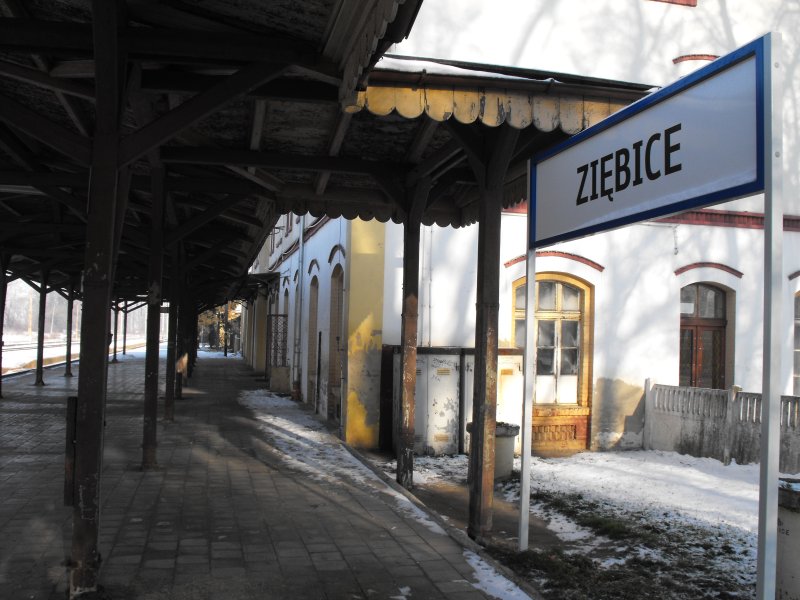 Ziębice 08