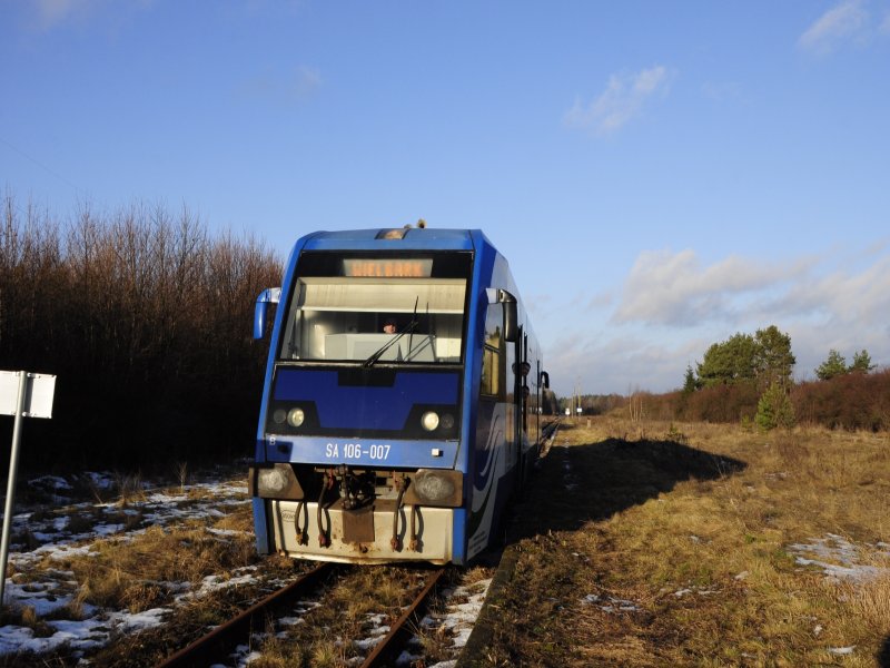 Szczytno - Wielbark 2013 Jesionowiec