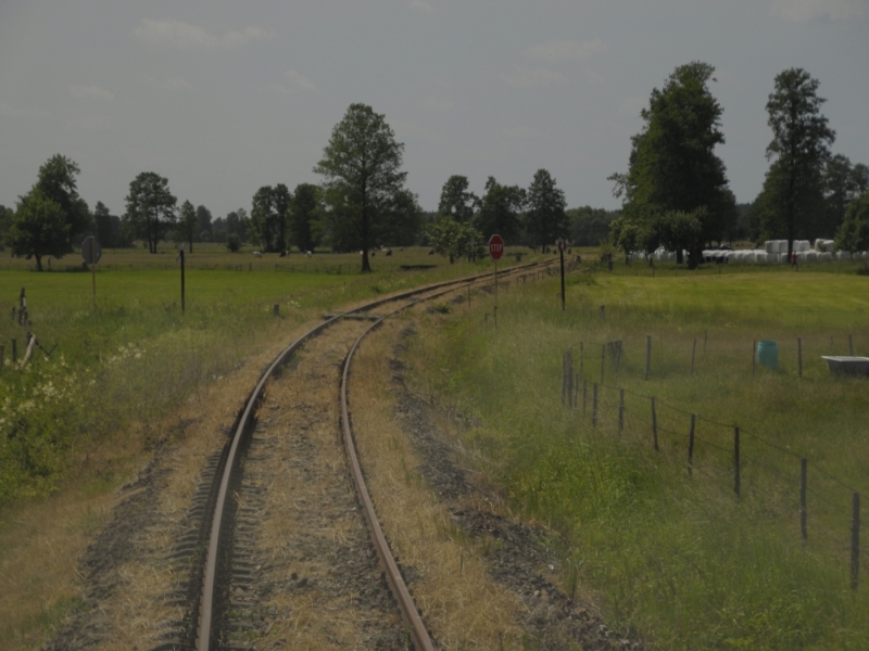 szczytno-wielbark 55