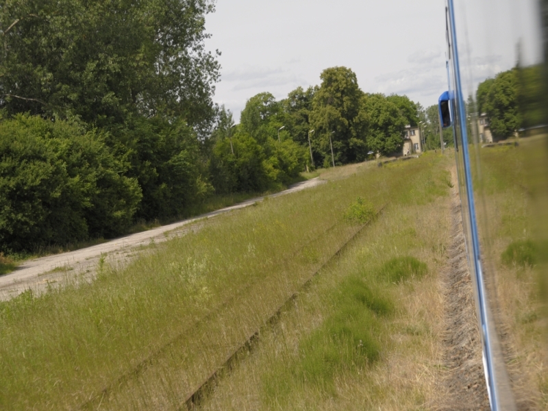 szczytno-wielbark 61