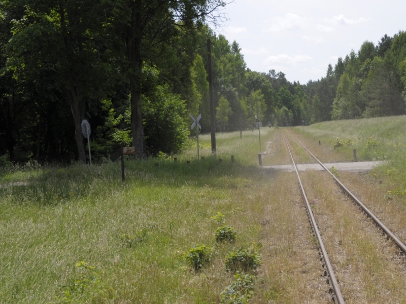 szczytno-wielbark 77