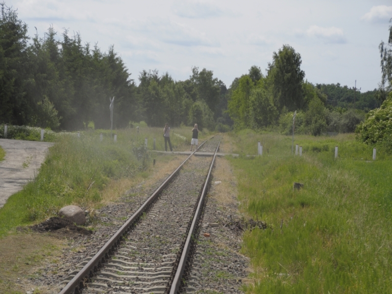 szczytno-wielbark 80