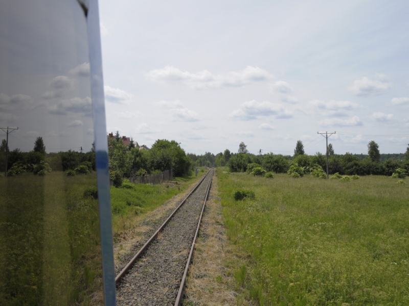 szczytno-wielbark 81