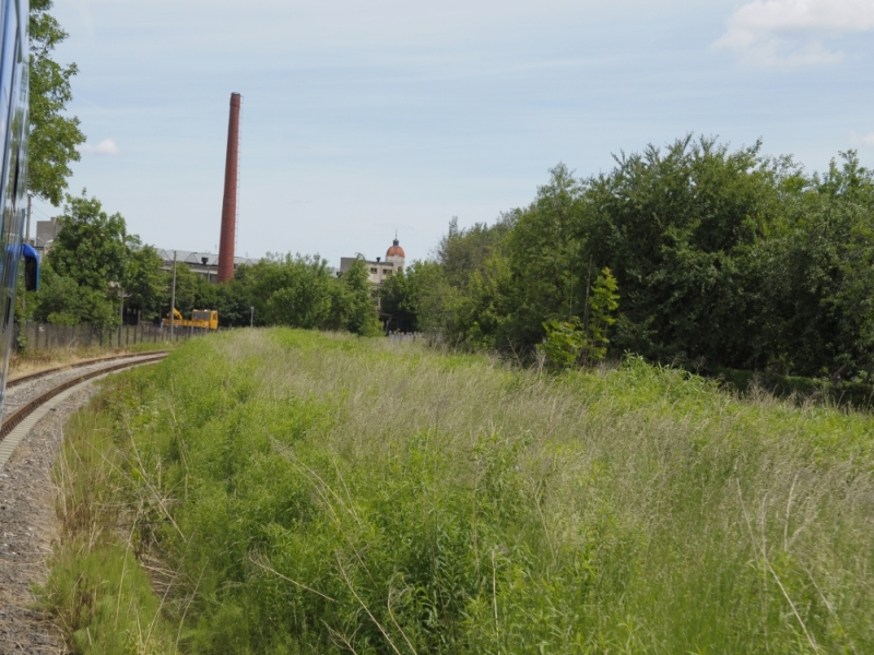 szczytno-wielbark 89