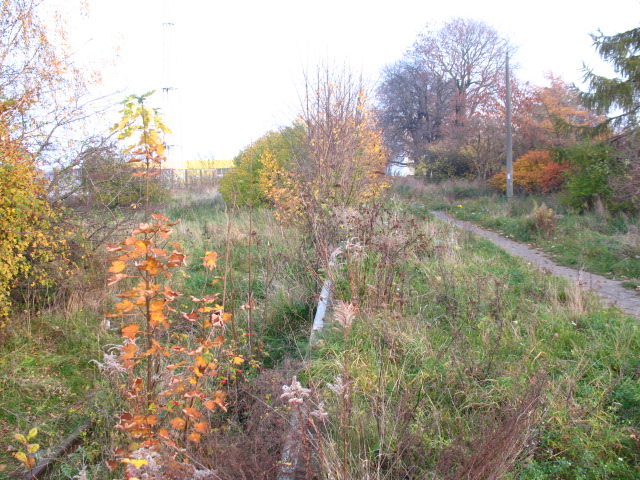 Gdańsk Nowy Port 05