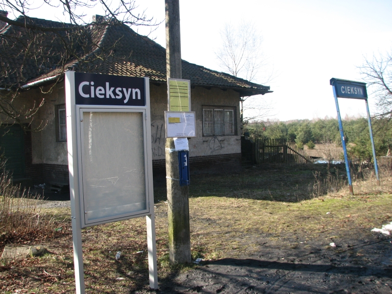 Cieksyn 08