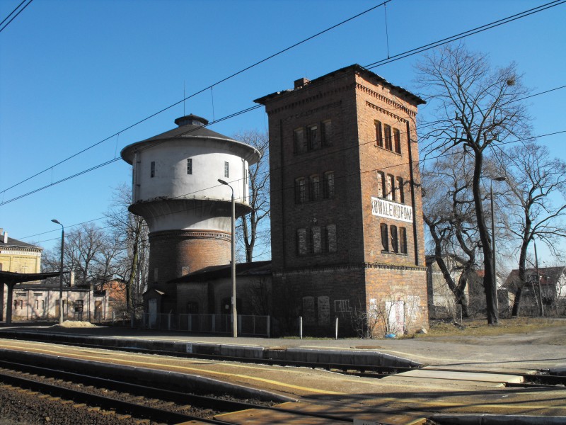 Kowalewo Pomorskie 04