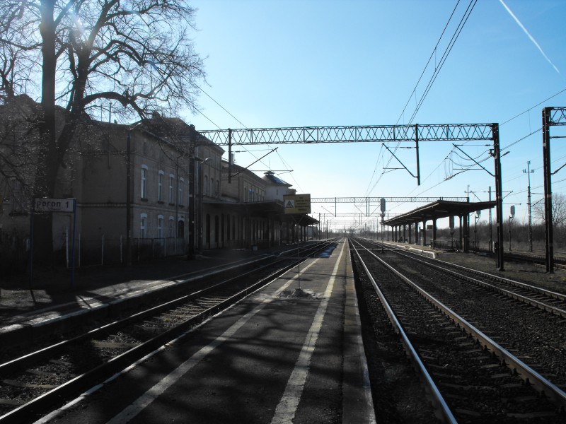 Kowalewo Pomorskie 08