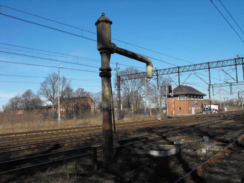 Kowalewo Pomorskie 09