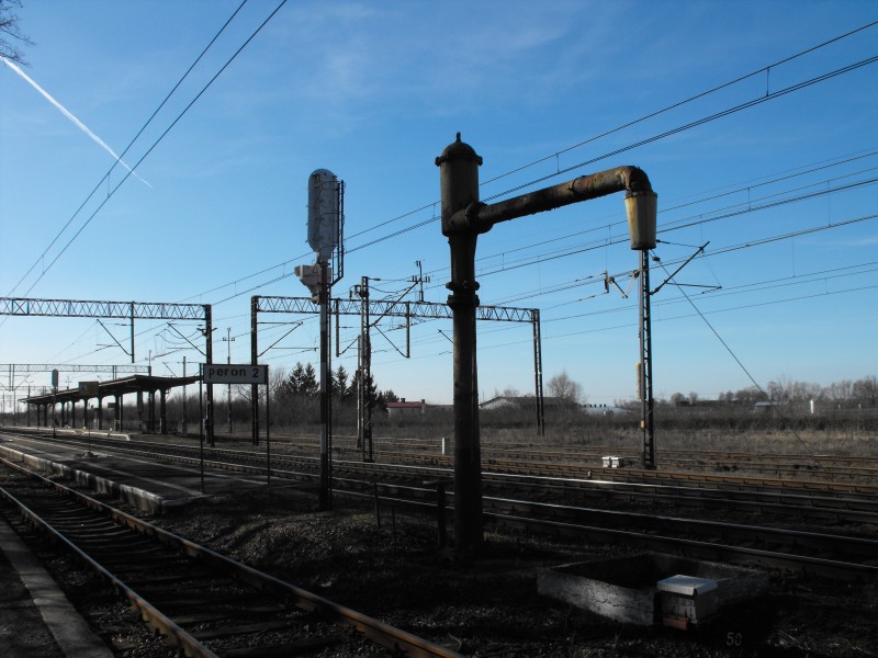 Kowalewo Pomorskie 10