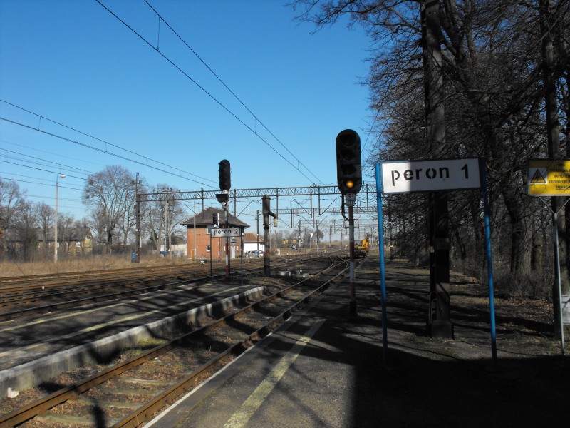 Kowalewo Pomorskie 11