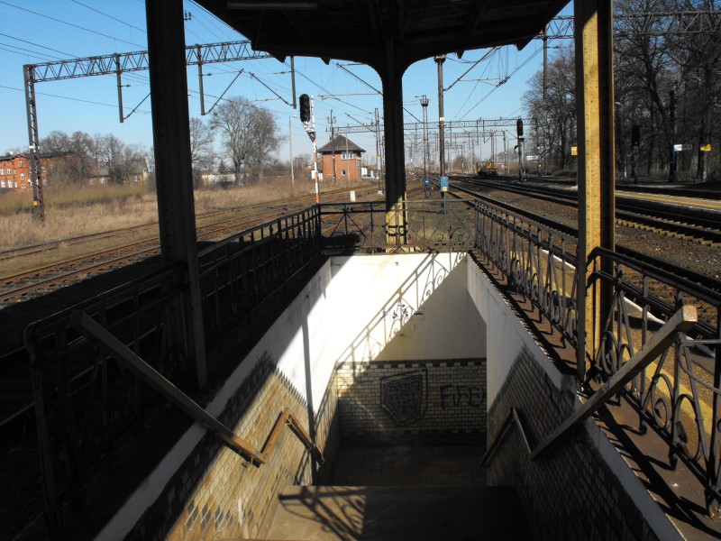 Kowalewo Pomorskie 15