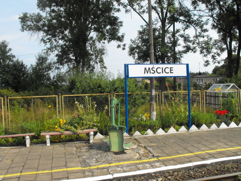 Mścice 08