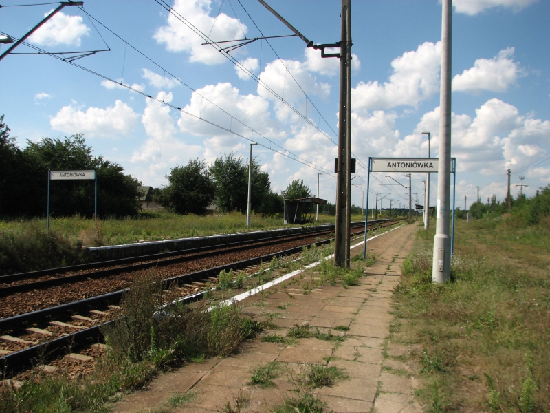 Antoniówka 01