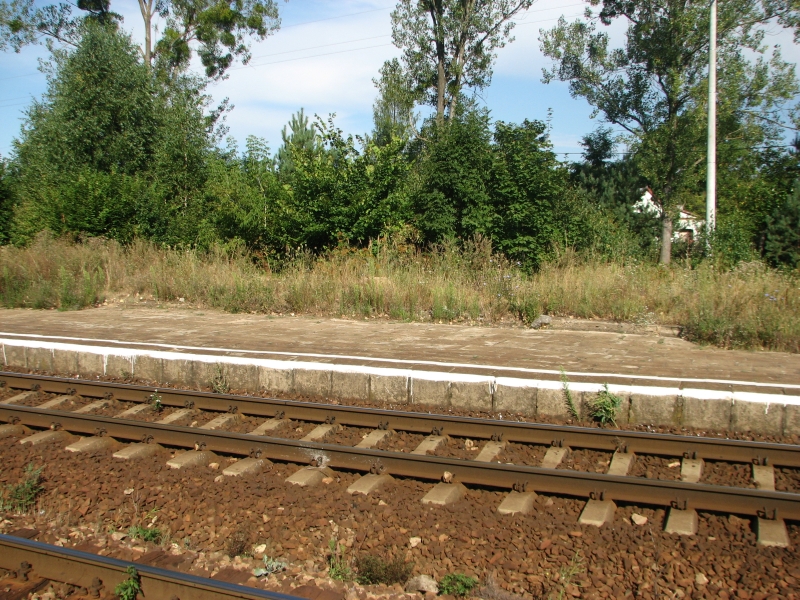 Jedlnia Kościelna 09