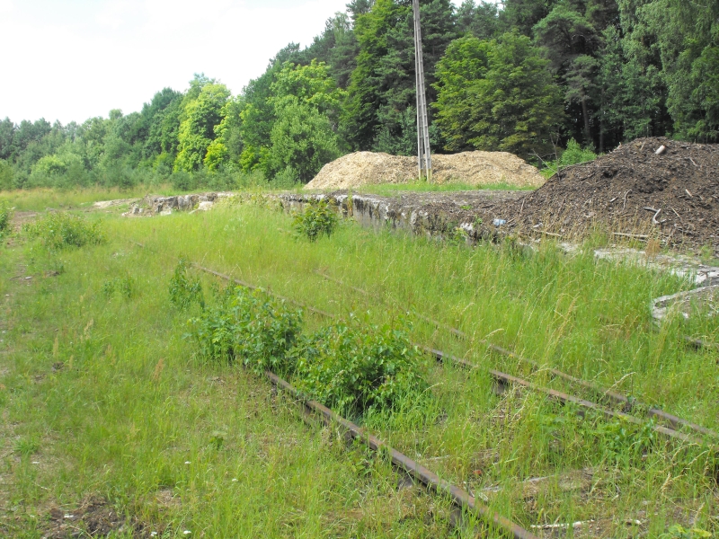 Maszewo Lęborskie 05