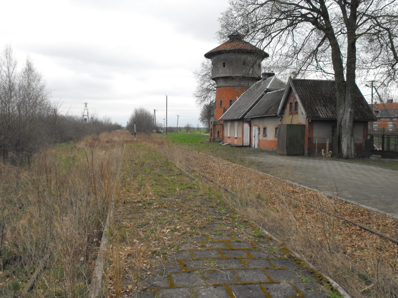 Świekatowo Wschód 08