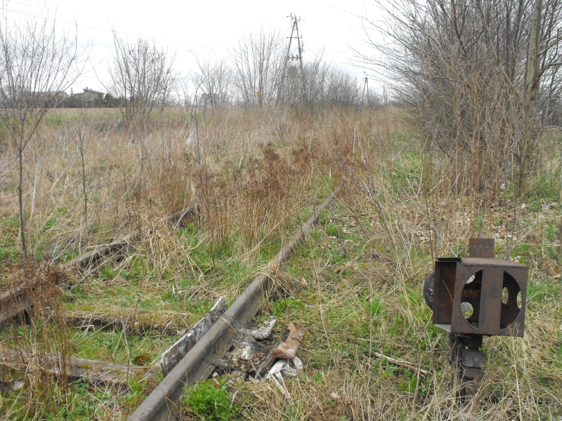 Świekatowo Wschód 13