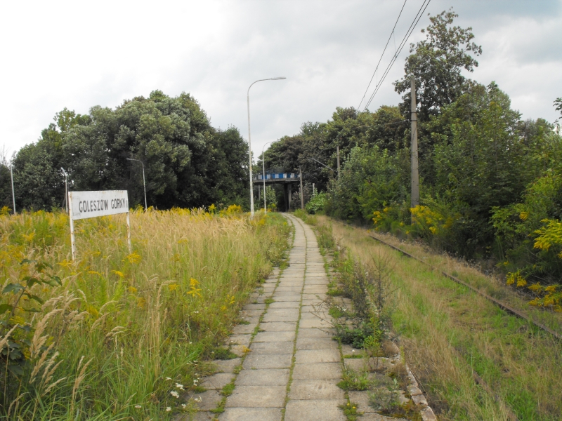 Goleszów Górny 05