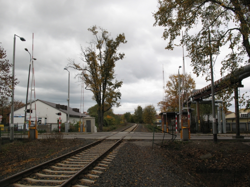 Gorzów Zamoście 08